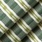 Green Made in America Stripe Woven Pattern Upholstery Fabric by The Yard - SKU: Clayton Willow